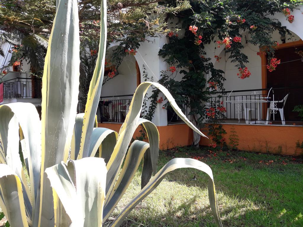 Studios Dimitris Punta Buitenkant foto