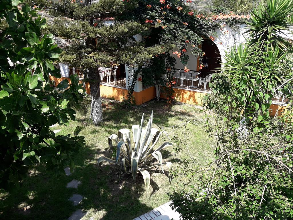 Studios Dimitris Punta Buitenkant foto