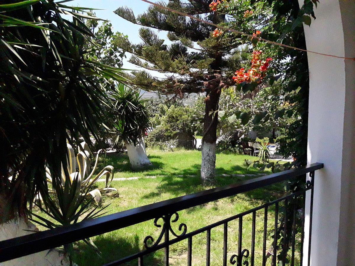 Studios Dimitris Punta Buitenkant foto